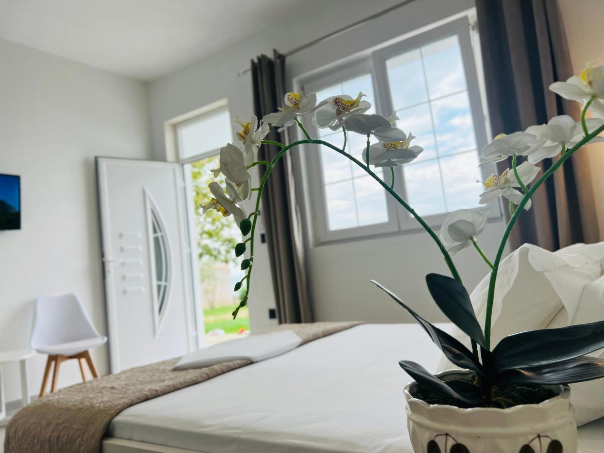 Iart Residence Shiroka ภายนอก รูปภาพ